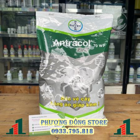 Thuốc trừ bệnh Antracol 70WG