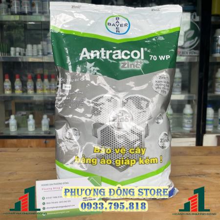 Thuốc trừ bệnh Antracol 70WP