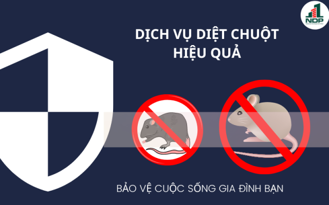 ƯU ĐIỂM VƯỢT TRỘI CỦA DỊCH VỤ DIỆT CHUỘT TẠI CÔNG TY NDP